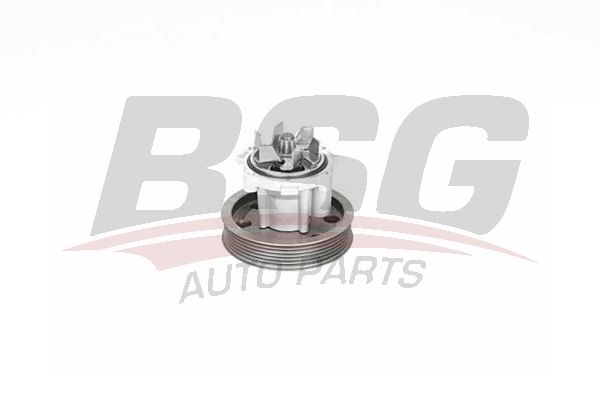 Citroen Nemo 2008-2012 Arası 1.3 HDi 75 BSG Marka Devirdaim Su Pompası