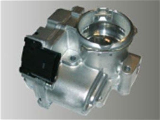 Seat Cordoba 2002-2009 Arası 1.4 TDI Magneti Marelli Marka Gaz Kelebeği