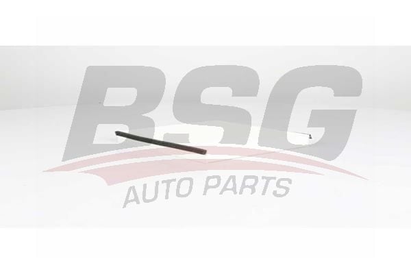 Renault Laguna 2001-2007 Arası 1.9 dCi, 1.6 16V, 3.0 V6 24V, 1.8 16V BSG Marka Polen Filtresi
