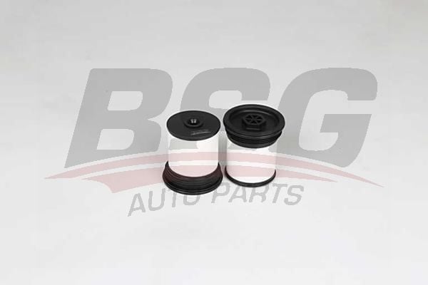 Chevrolet Captiva 2006-2010 Arası 2.2 D, 2.2 D 4WD BSG Marka Yakıt Filtresi