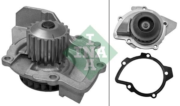 Citroen C8 2002-2006 Arası 2.0 HDi 165 INA Marka Devirdaim Su Pompası