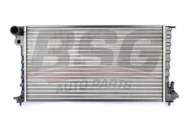 Citroen Zx 1991-1999 Arası 1.9 TD, 1.9 D, 1.8 i BSG Marka Su Radyatörü