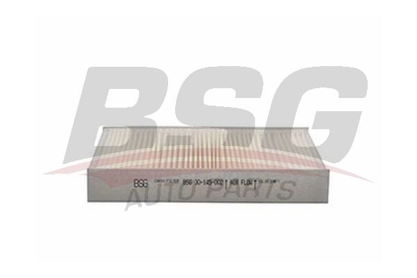 Ford Fusion 2002-2012 Arası 1.4 TDCi, 1.4, 1.6 BSG Marka Polen Filtresi