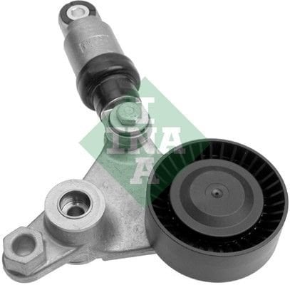 Renault Espace 2002-2006 Arası 3.0 dCi INA Marka Vantilatör Kayış Gergi Rulmanı