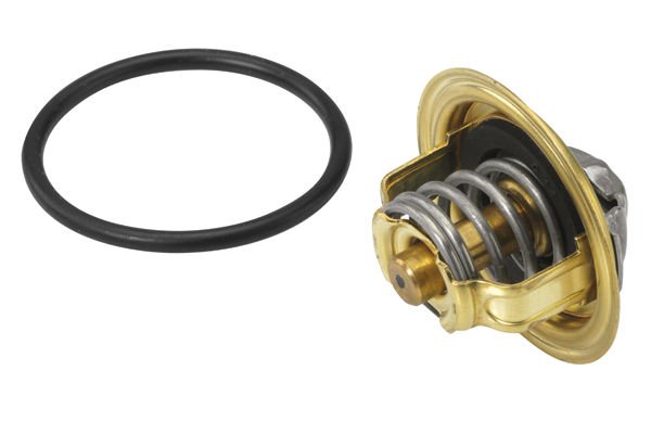 Audi A6 2004-2011 Arası 2.0 TDI BorgWarner (Wahler) Marka Termostat