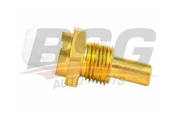 Audi A8 1994-2005 Arası 4.2 quattro BSG Marka Hararet Müşürü