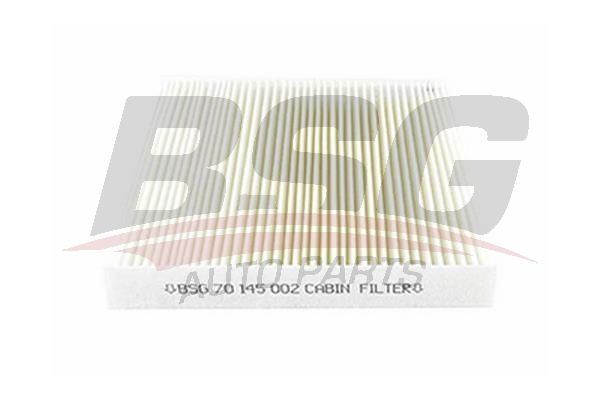 Citroen Berlingo 1996-2011 Arası 1.1 i BSG Marka Polen Filtresi