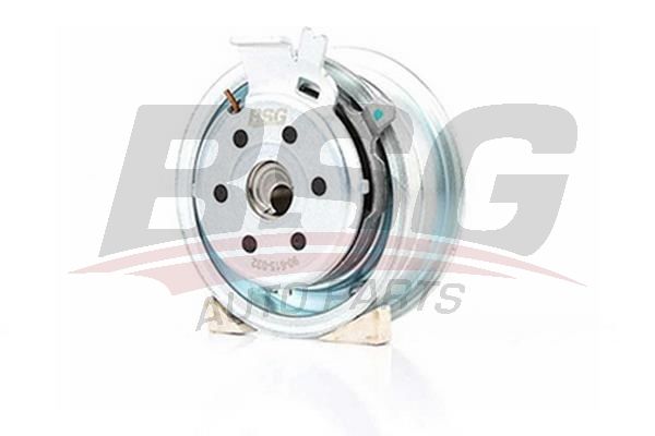 Volkswagen Sharan 1995-2010 Arası 2.0 BSG Marka Triger Gergi Rulmanı