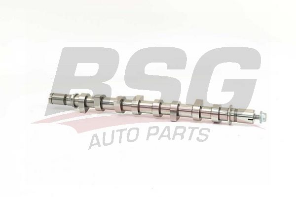 Renault Symbol 2008-2012 Arası 1.5 dCi BSG Marka Eksantrik Mili