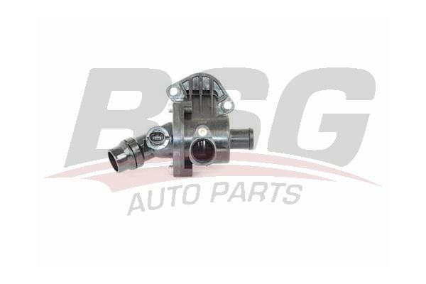 Volkswagen Passat 2005-2011 Arası 2.0 FSI, 2.0 FSI 4motion BSG Marka Termostat