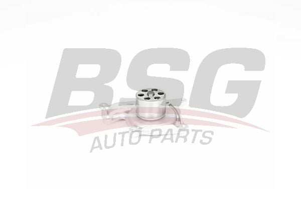 Renault Scenic 2008-2012 Arası 1.5 dCi BSG Marka Devirdaim Su Pompası