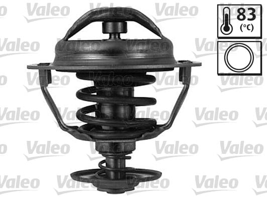 Renault Espace 1996-2002 Arası 2.2 12V TD Valeo Marka Termostat