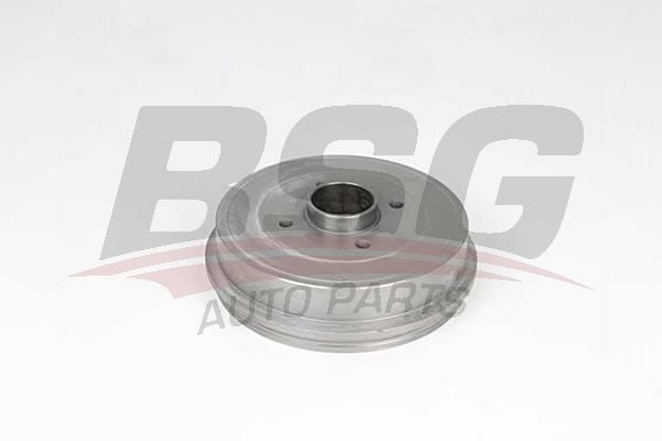 Renault 19 1991-2003 Arası 1.9 dT BSG Marka Kampana
