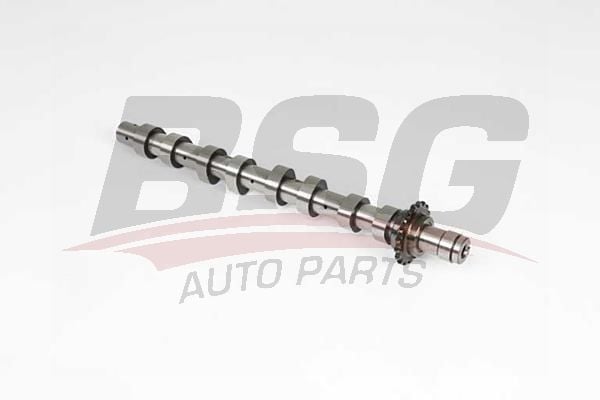 Ford Focus 2004-2013 Arası 1.6 TDCi BSG Marka Eksantrik Mili