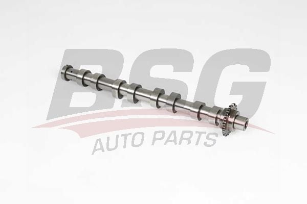 Ford Focus 2004-2013 Arası 1.6 TDCi BSG Marka Eksantrik Mili
