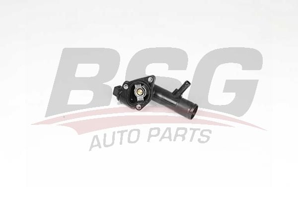 Renault Clio Symbol 1998-2002 Arası 1.5 dCi BSG Marka Termostat