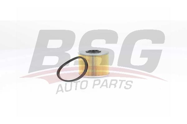 Opel Vivaro 2001-2005 Arası 1.9 Di BSG Marka Yakıt Filtresi