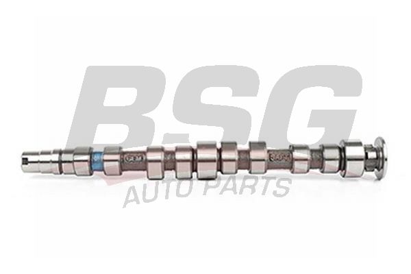 Volkswagen Bora 1998-2013 Arası 1.4 16V BSG Marka Eksantrik Mili