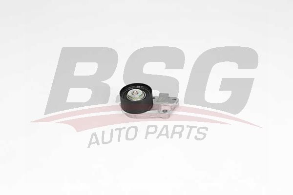 Chevrolet Nubira 2005-2011 Arası 1.4 BSG Marka Triger Gergi Rulmanı