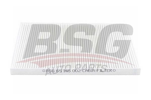 Opel Omega 1994-2005 Arası 2.0, 3.0 V6, 2.0 16V, 2.5 TD, 2.5 V6 BSG Marka Polen Filtresi