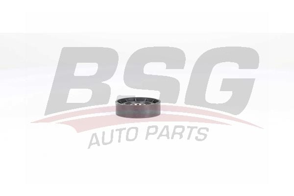 Renault Megane 2001-2012 Arası 2.0 dCi BSG Marka Vantilatör Kayış Gergi Rulmanı