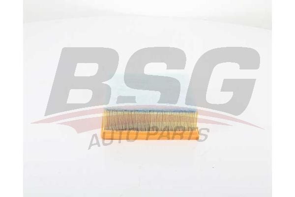 Ford S-Max 2006-2014 Arası 2.5 ST BSG Marka Hava Filtresi