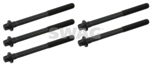 Renault Express 1985-2001 Arası 1.4 Swag Marka Silindir Kapak Saplaması