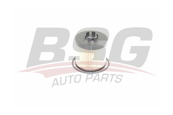 Volkswagen Jetta 2004-2013 Arası 1.6 FSI BSG Marka Yağ Filtresi