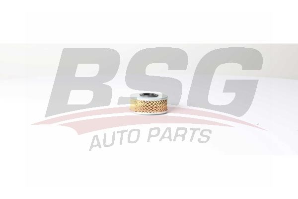 Renault Megane 1995-2008 Arası 1.9 dTi BSG Marka Yakıt Filtresi