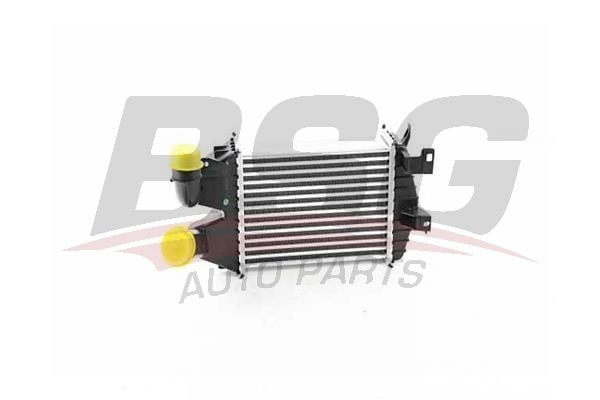 Opel Zafira 2005-2019 Arası 1.9 CDTI BSG Marka Turbo Radyatörü