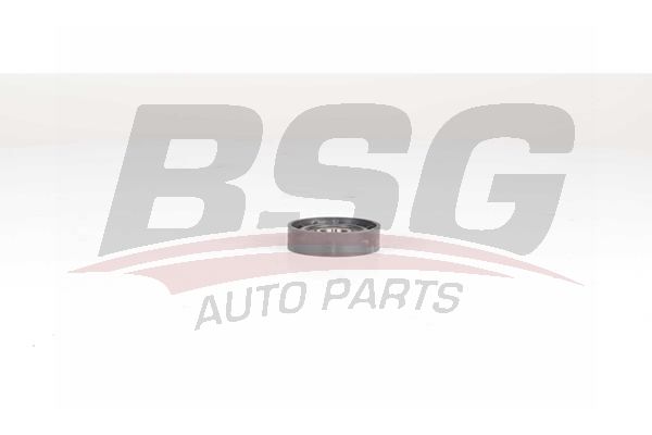Renault Kangoo 1997-2001 Arası 1.6 16V bivalent BSG Marka Vantilatör Kayış Gergi Rulmanı