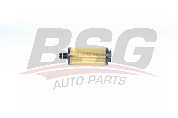 Chevrolet Orlando 2010-2014 Arası 2.0 D BSG Marka Yağ Filtresi