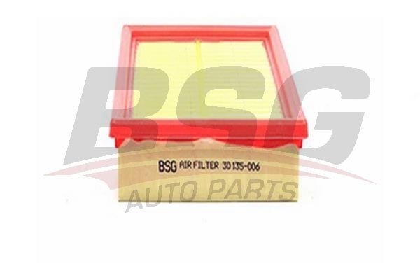 Ford Focus 1998-2009 Arası 1.6 16V, 1.4 16V, 1.8 16V BSG Marka Hava Filtresi