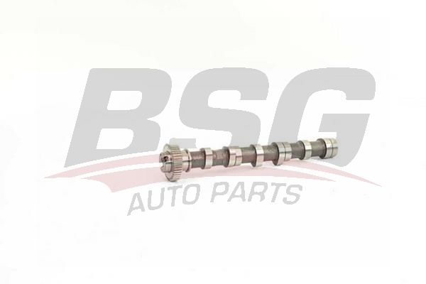 Volkswagen Polo 2009-2013 Arası 1.2 TDI BSG Marka Eksantrik Mili