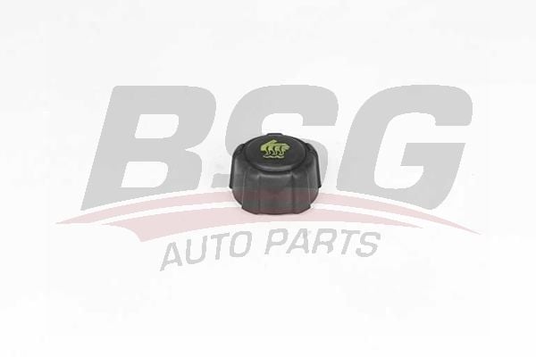 Renault Megane 2001-2014 Arası 1.5 dCi, 1.6 16V, 2.0 TCe, 2.0 CVT BSG Marka Radyatör Yedek Su Depo Kapağı
