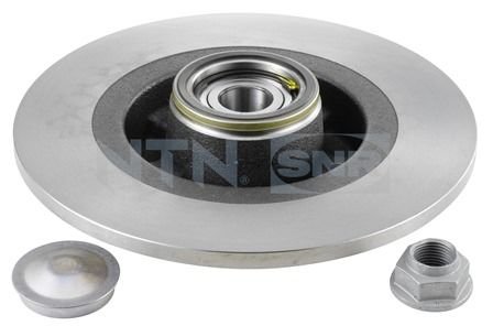 Renault Scenic 2008-2013 Arası 2.0 16V Snr Marka Ön Fren Diski