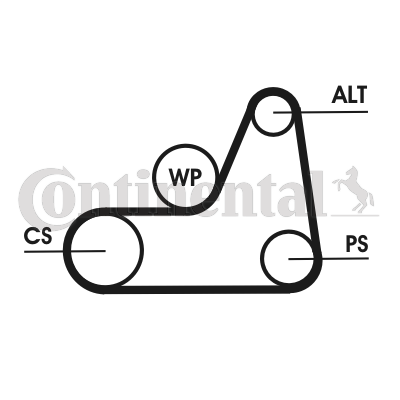 Ford Focus 1998-2009 Arası 1.6 16V, 1.4 16V Continental Marka Vantilatör Kayışı