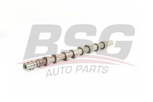 Renault Espace 1996-2002 Arası 2.2 dCi BSG Marka Eksantrik Mili