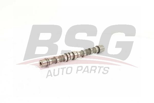 Fiat Punto Evo 2008-2012 Arası 1.3 D Multijet BSG Marka Eksantrik Mili