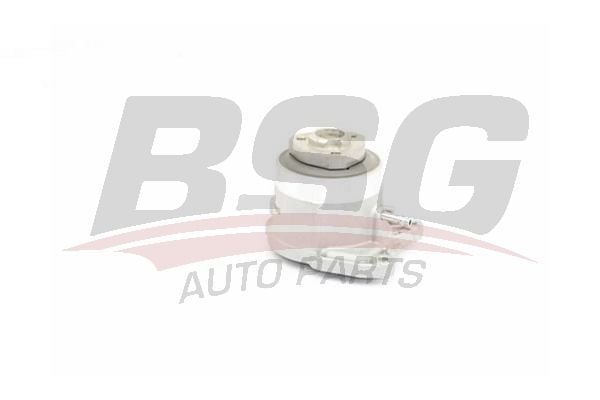 Audi A1 2010-2018 Arası 1.2 TFSI BSG Marka Devirdaim Su Pompası