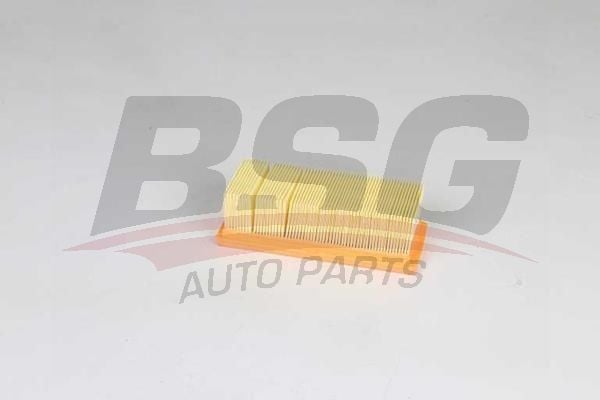 Renault Clio Symbol 1998-2002 Arası 1.2 16V BSG Marka Hava Filtresi