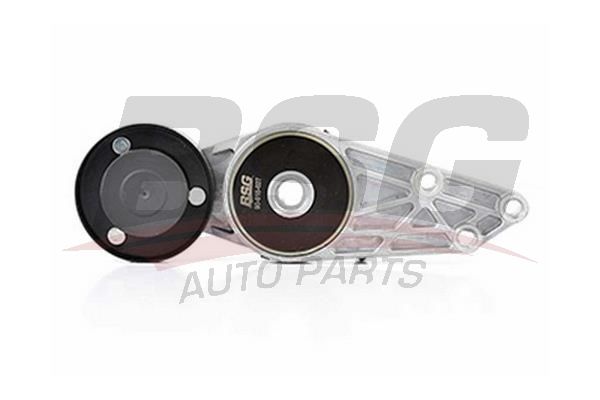 Volkswagen Sharan 1995-2010 Arası 1.9 TDI, 2.0 TDI BSG Marka Vantilatör Kayış Gergi Rulmanı