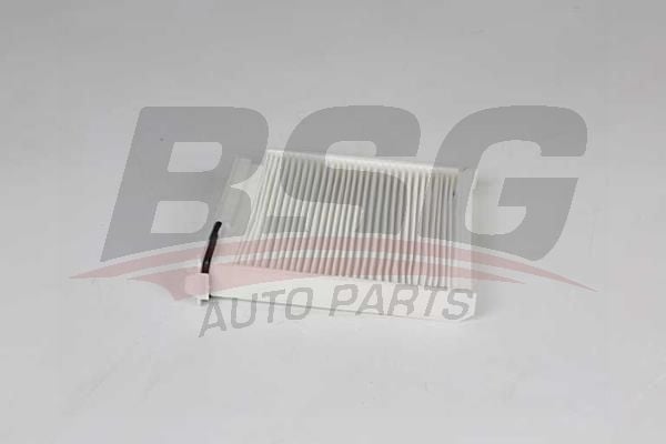 Dacia Logan 2004-2008 Arası 1.4 MPI LPG BSG Marka Polen Filtresi