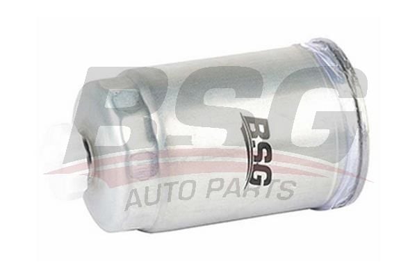 Renault Mascott 1999-2005 Arası 110 BSG Marka Yakıt Filtresi