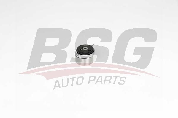 Opel Zafira 2005-2015 Arası 1.6 CNG Turbo VAN, 1.8 VAN BSG Marka Triger Gergi Rulmanı