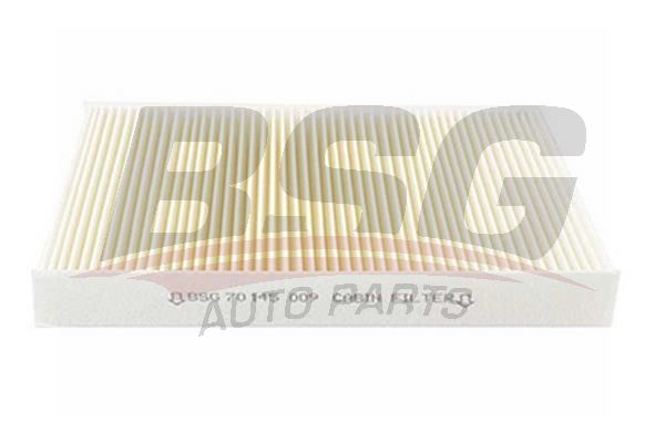 Peugeot 407 2004-2011 Arası 2.0 HDi 135, 1.6 HDi 110, 2.0 Bioflex, 3.0 BSG Marka Polen Filtresi