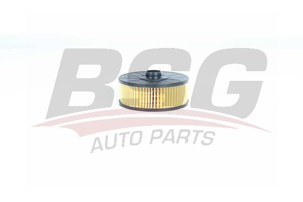 Renault Kangoo 2008-2012 Arası 1.2 TCe 115 BSG Marka Yağ Filtresi