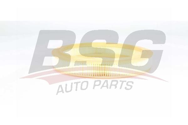 Renault 9 1981-1997 Arası 1.4, 1.4 Automatik BSG Marka Hava Filtresi