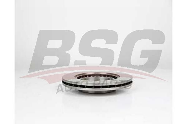 Renault 19 1988-2003 Arası 1.8 16V, 1.9 D, 1.8, 1.7 BSG Marka Ön Fren Diski