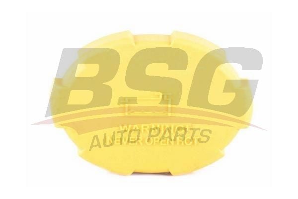 Opel Astra 2004-2014 Arası 1.7 CDTI, 1.4 BSG Marka Radyatör Yedek Su Depo Kapağı